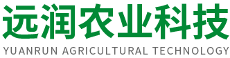 三線(xiàn)雙鏈冷拔機(jī)